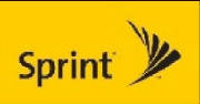 sprintlogo.jpg